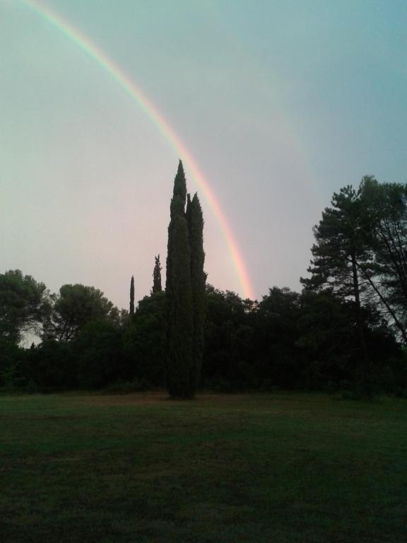 Domaine De Saint Clement Bed and Breakfast Prades-le-Lez Exteriör bild